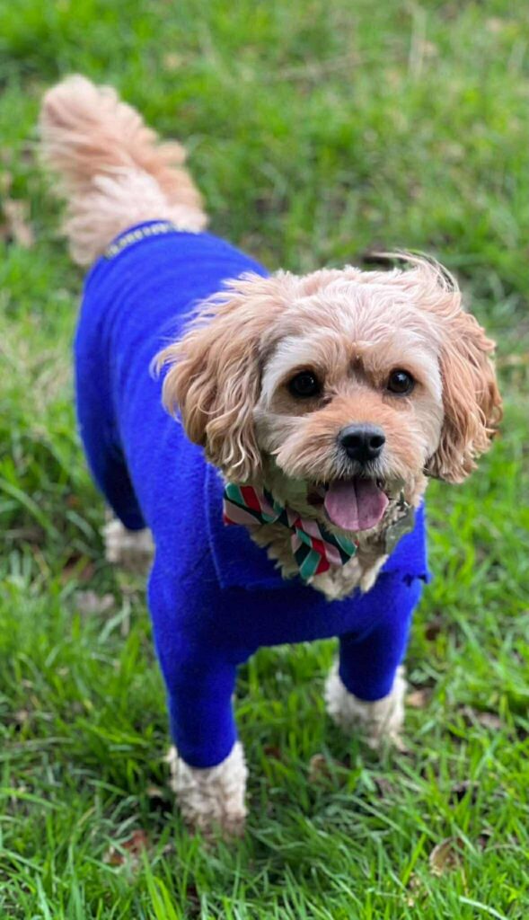 1000070321 1000070321