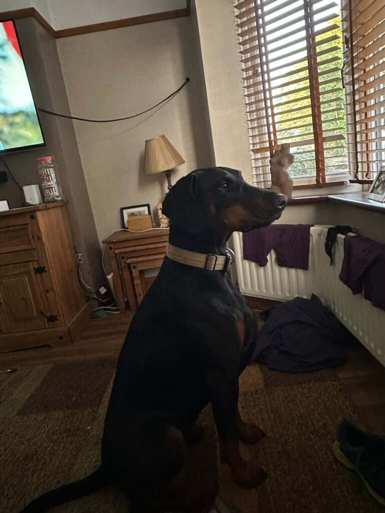 1000070375 1000070375