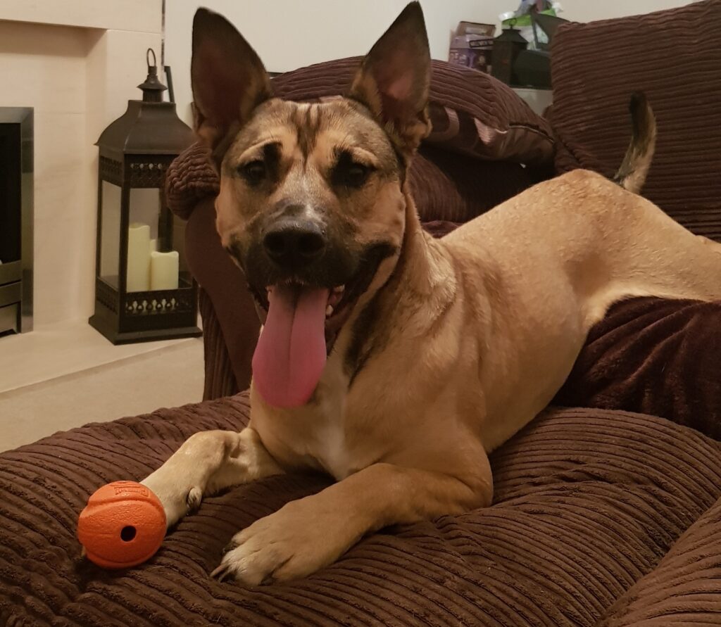 20181130 212602 20181130 212602