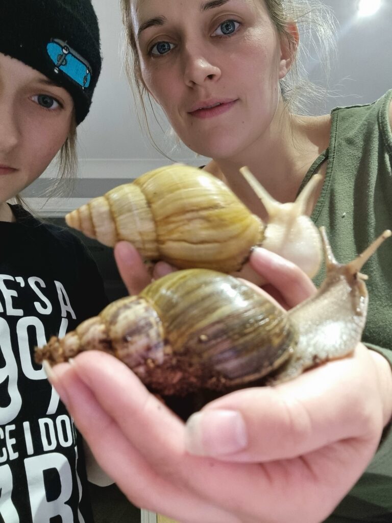 20210423 211114 20210423 211114