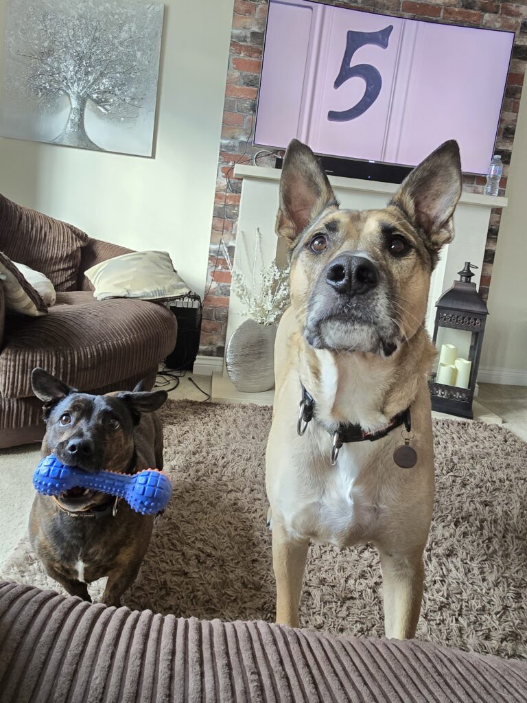 20240529_182254 20240529 182254 768x1024