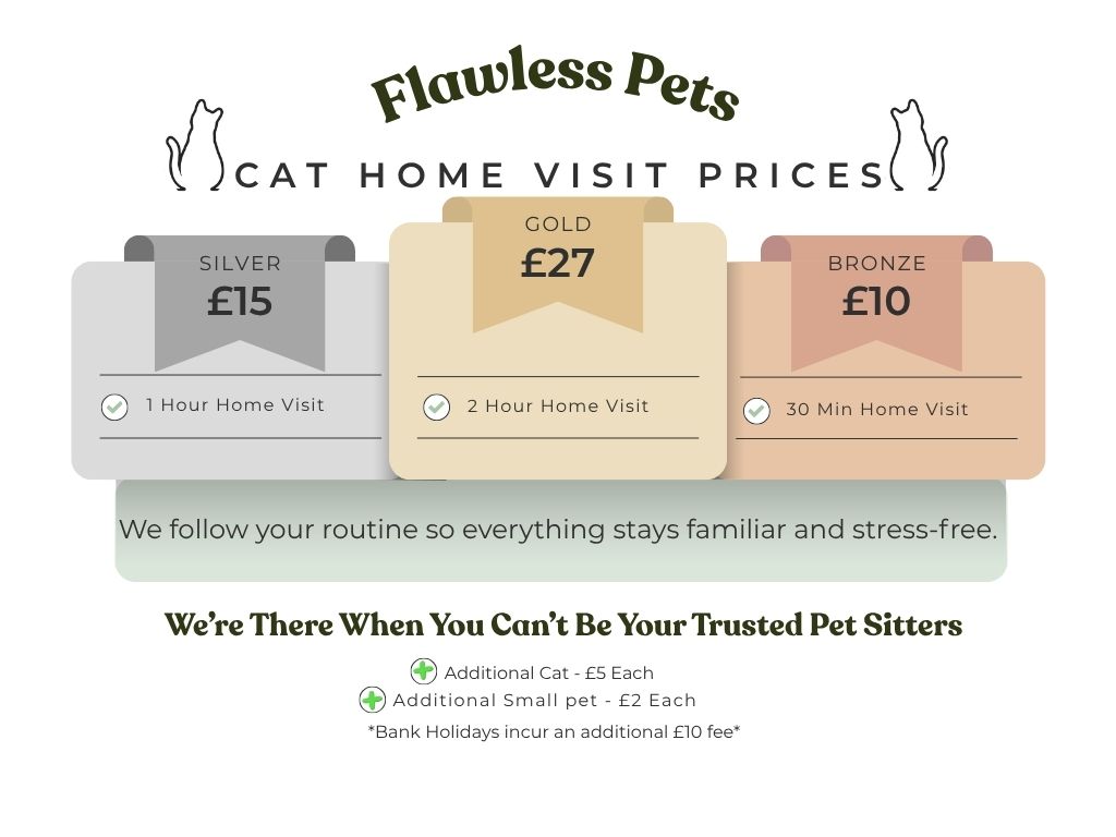 Flawless Cat Home Visits 1