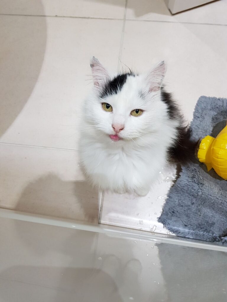 img 20180125 wa0017 img 20180125 wa0017