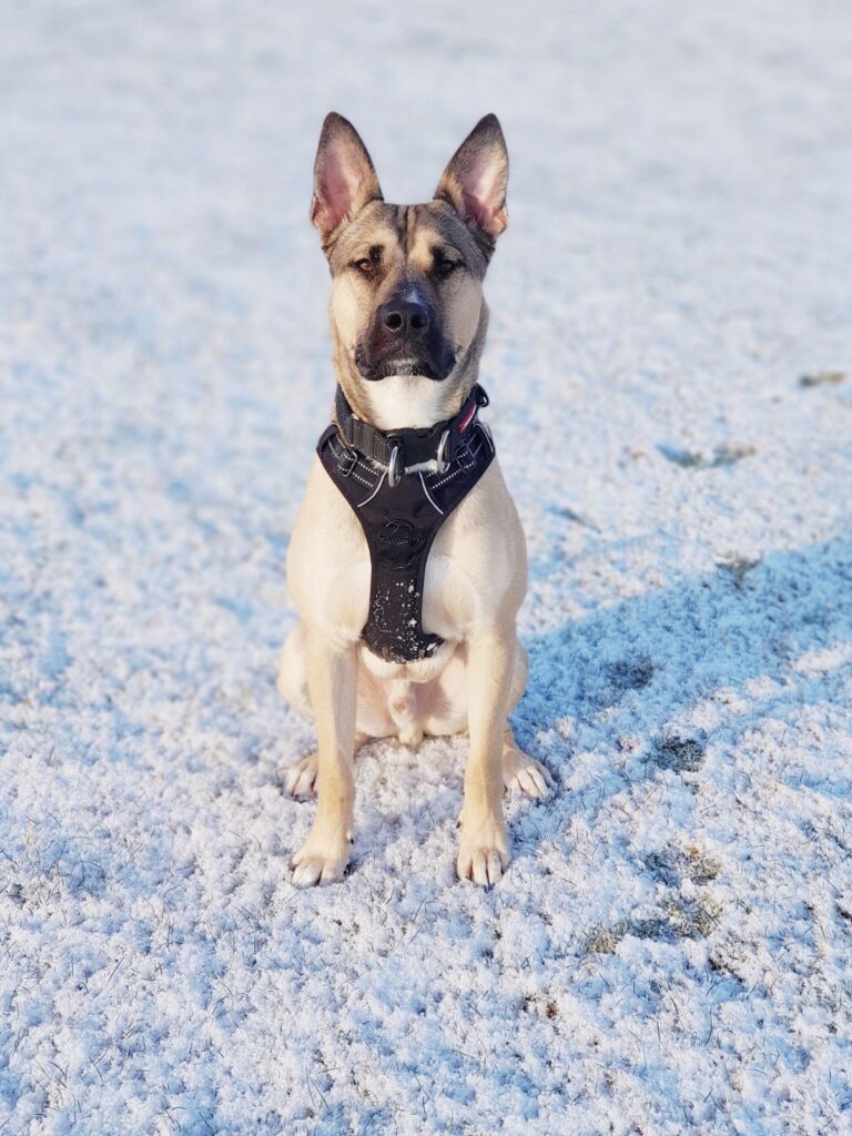 img 20180227 wa0000 img 20180227 wa0000