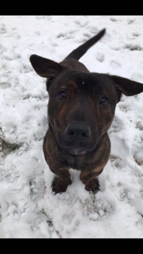 img 20180403 wa0012 img 20180403 wa0012