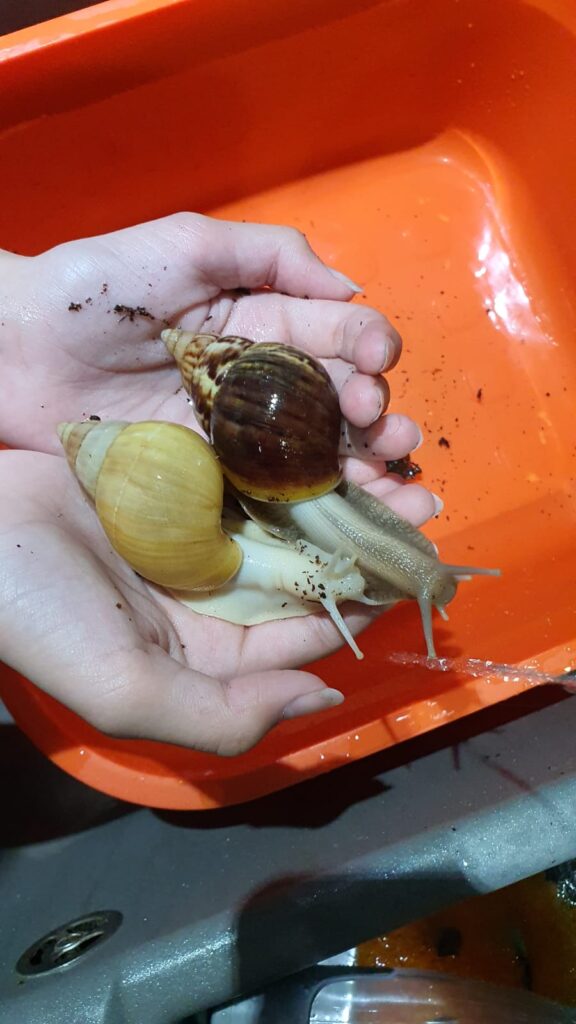 IMG-20200325-WA0014 IMG 20200325 WA0014 576x1024