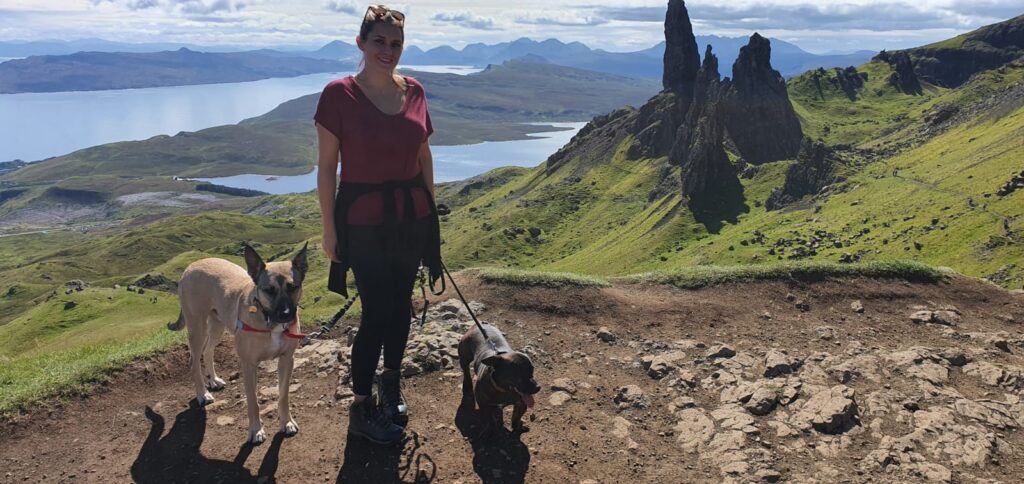 About Us IMG 20200824 WA0005 1024x484