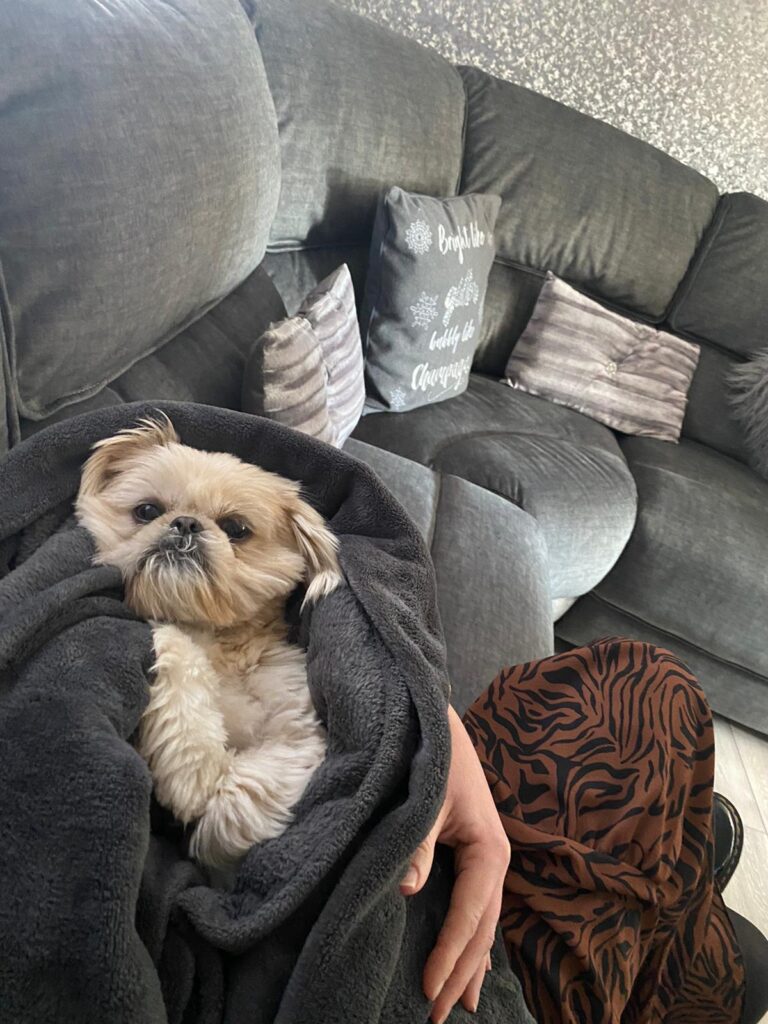 img 20210415 wa0000 img 20210415 wa0000