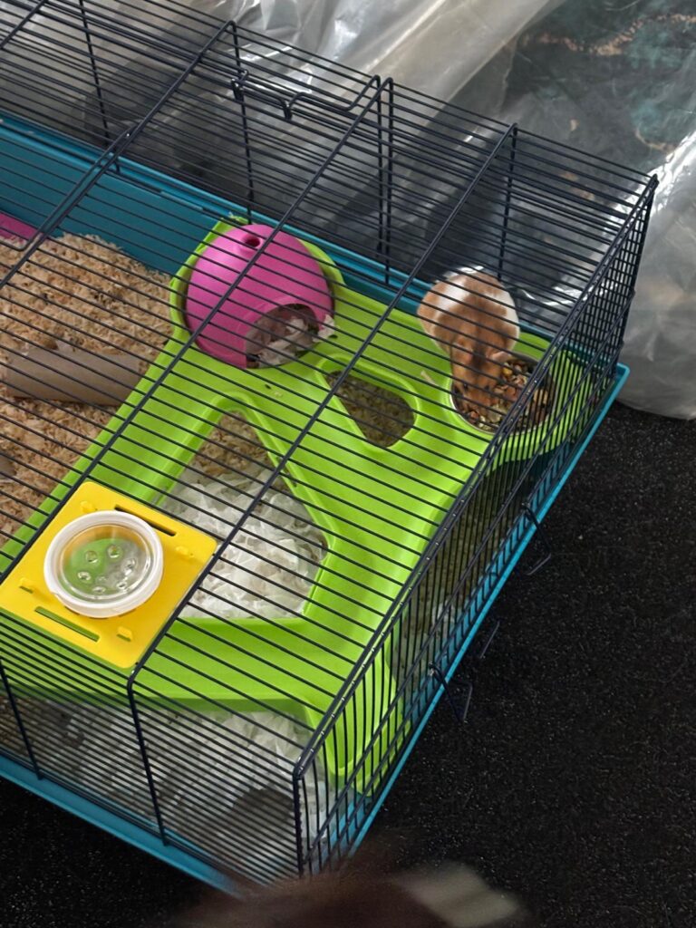 IMG-20250420-WA0001 IMG 20250420 WA0001 768x1024