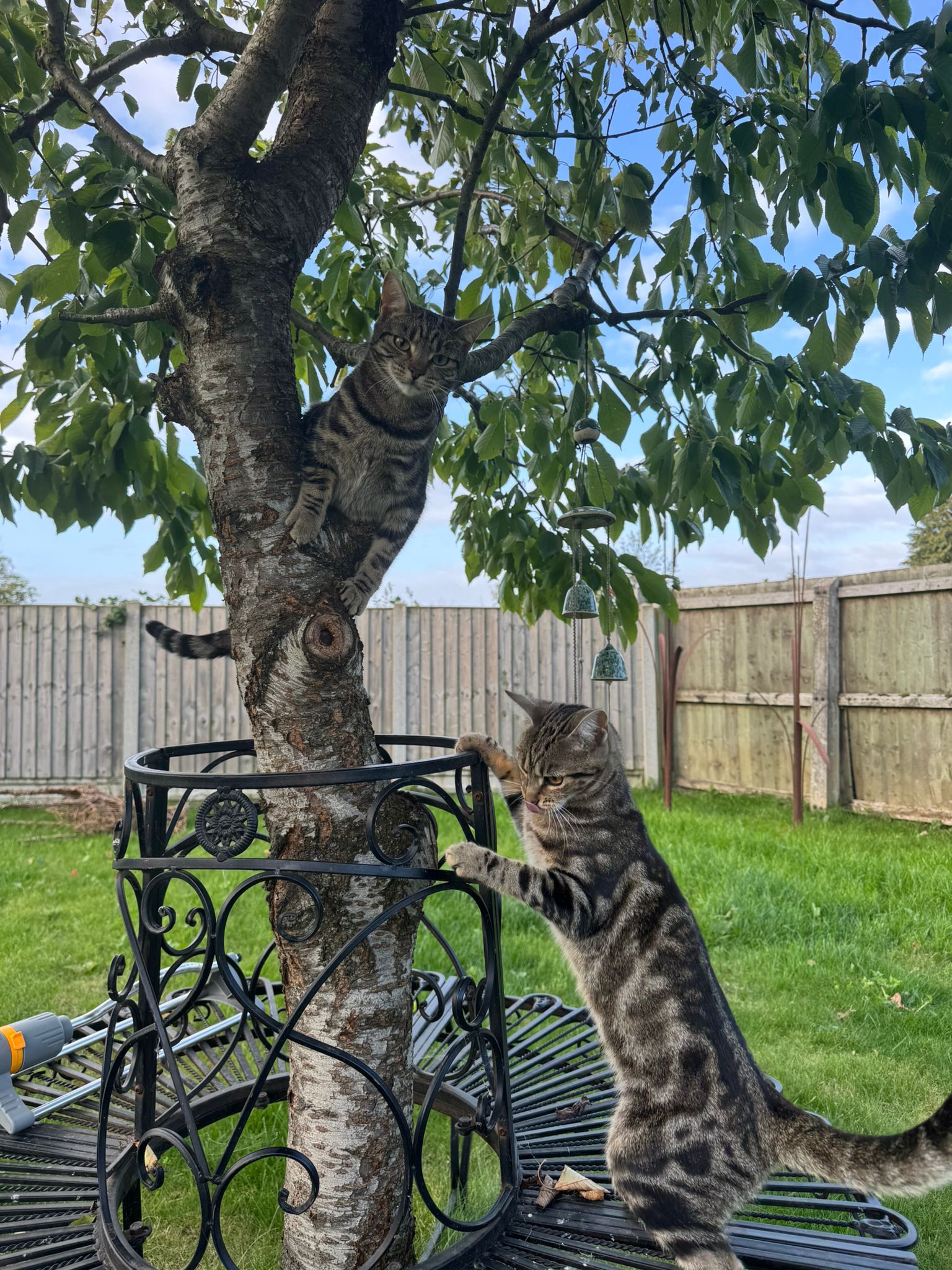 services-04 IMG 20251101 WA0048