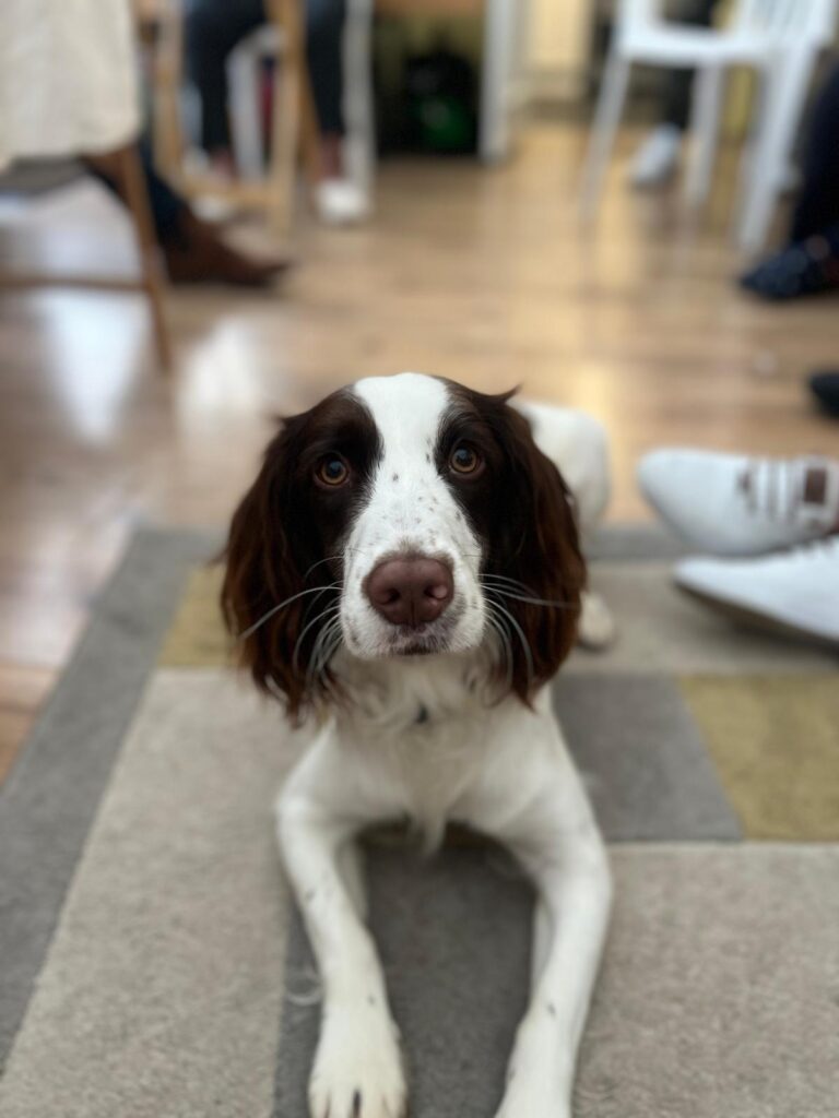 img 20251101 wa0064 img 20251101 wa0064