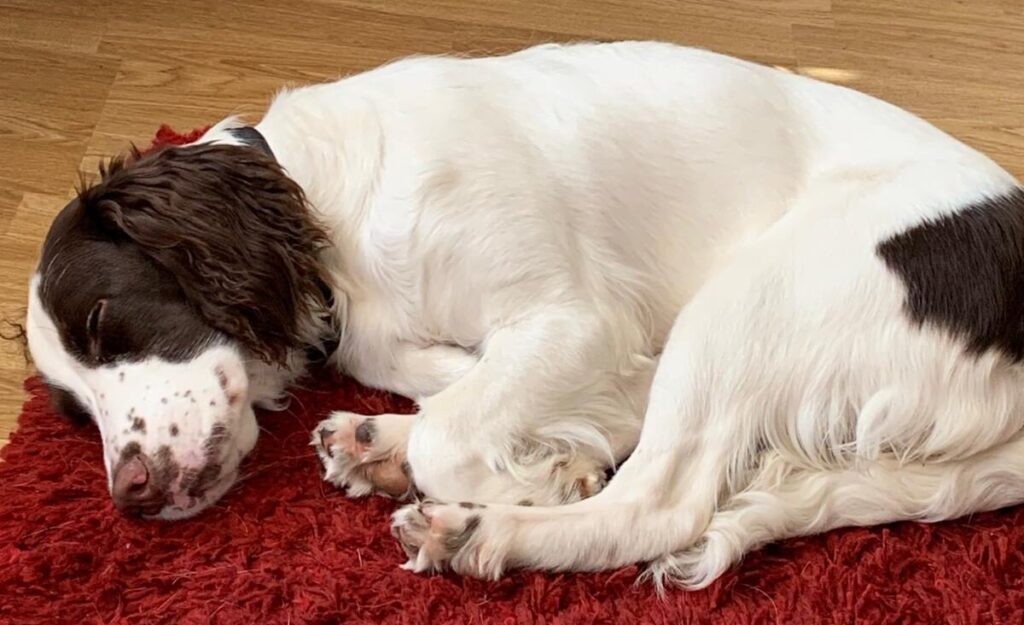 img 20251101 wa0070 img 20251101 wa0070