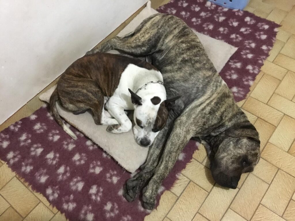 img 20251101 wa0073 img 20251101 wa0073