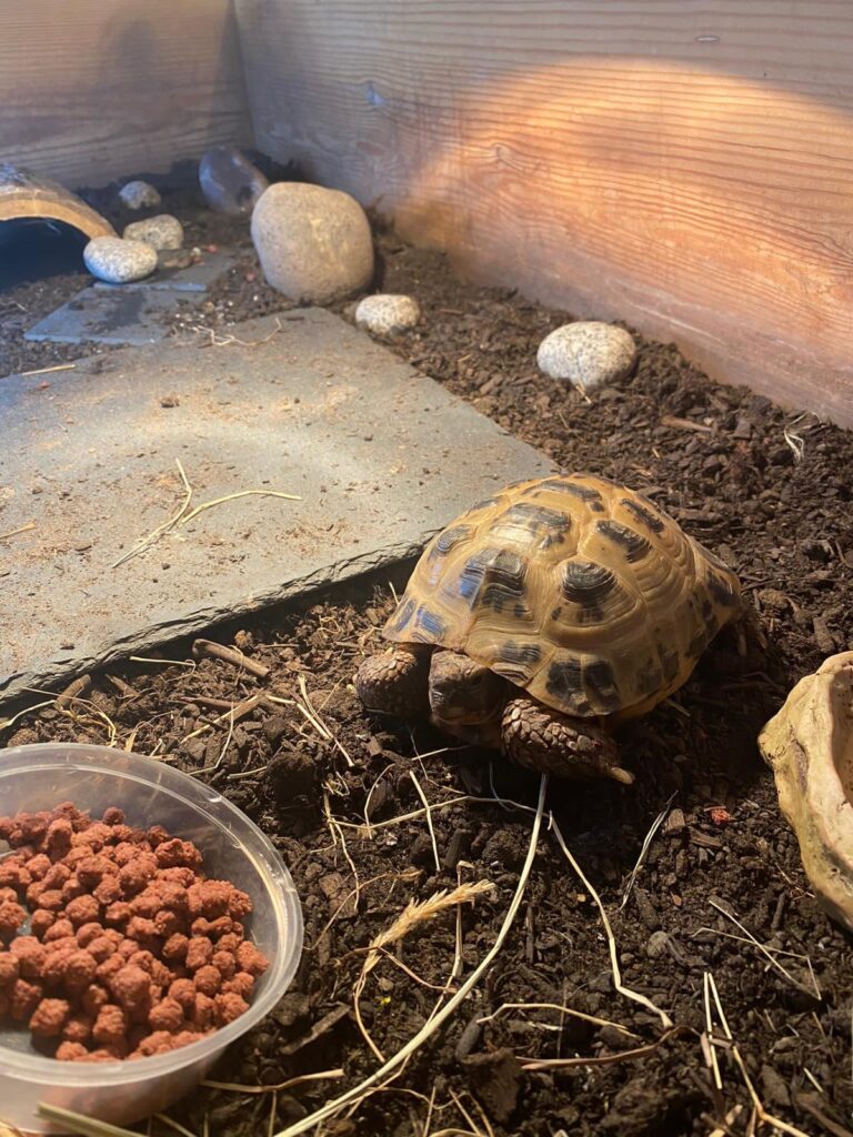 img 20251101 wa0079 img 20251101 wa0079