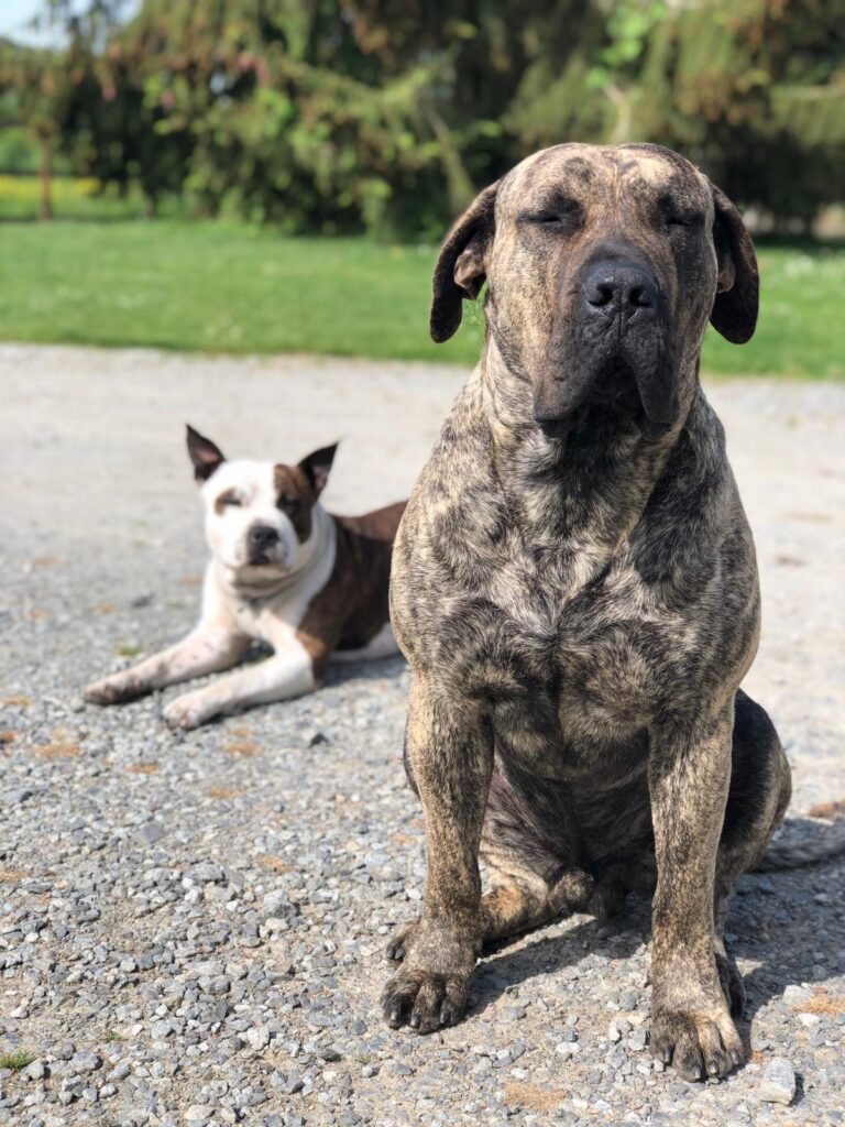 IMG 20251101 WA0082 768x1024