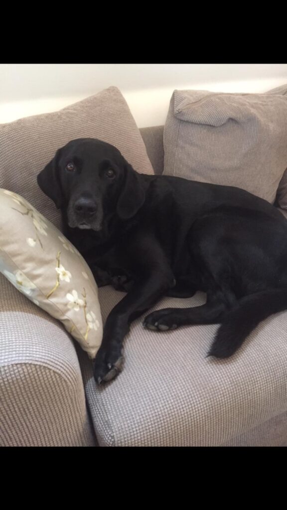 img 20251101 wa0126 img 20251101 wa0126