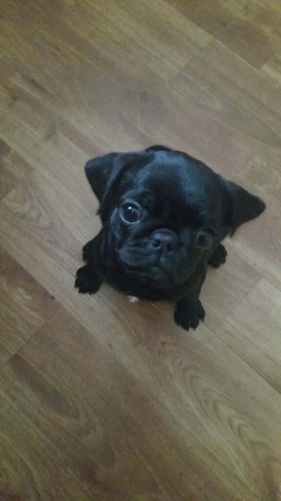 img 20251101 wa0129 img 20251101 wa0129