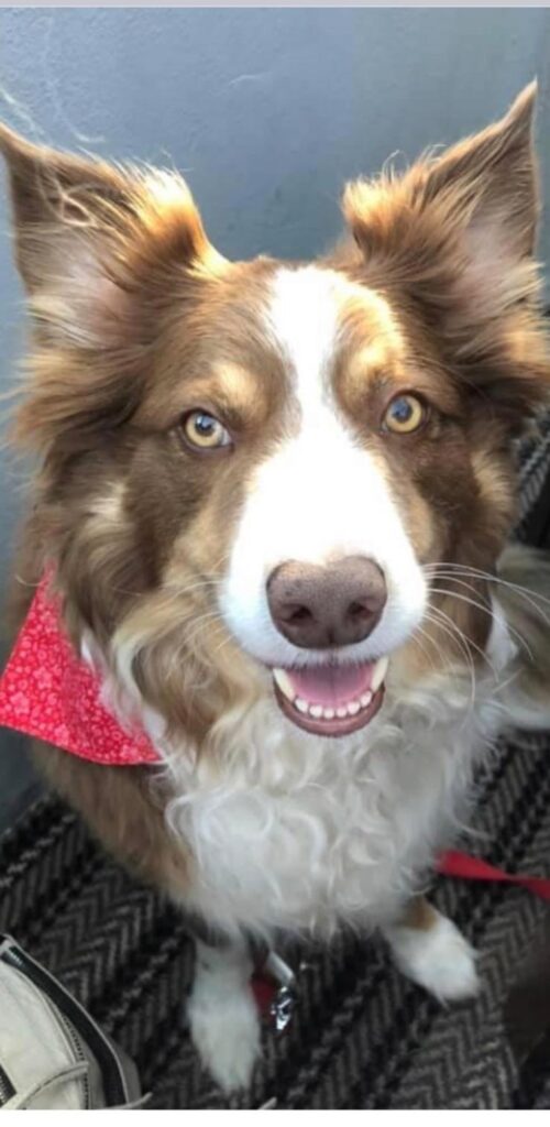 img 20251101 wa0146 img 20251101 wa0146