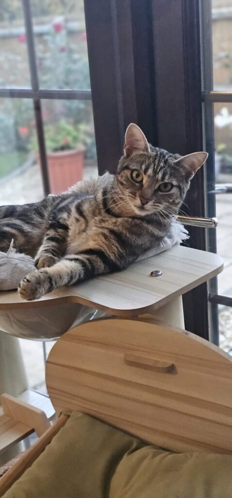 img 20251101 wa0151 img 20251101 wa0151