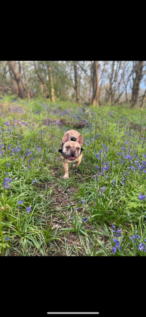 img 20251101 wa0162 img 20251101 wa0162