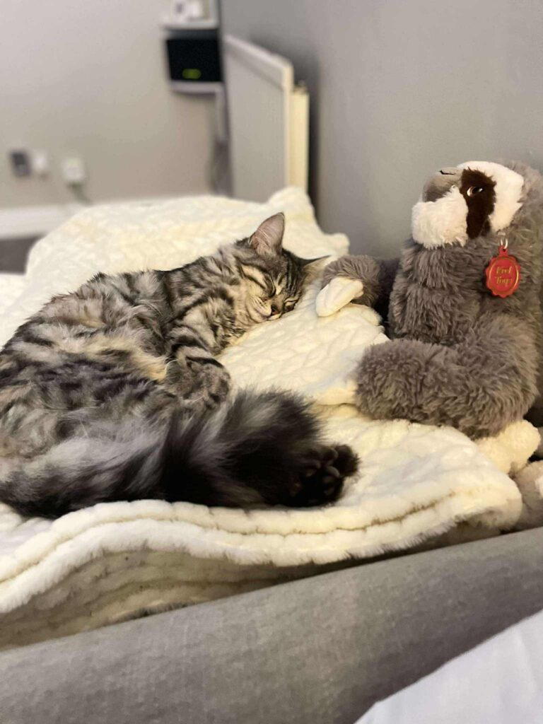 messenger creation 934d78f2 2eee 4ef6 acf7 543a49f646bd messenger creation 934d78f2 2eee 4ef6 acf7 543a49f646bd